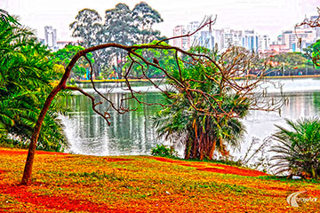 SP - São Paulo - Parque do Ibirapuera (HDR)<br /><span>Crédito: Mauro Badini</span>