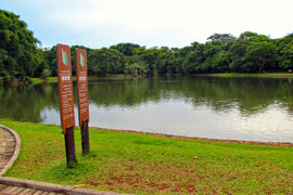 Goiânia - Parque Areião