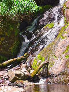 São Francisco de Paula - Parque das 8 Cachoeiras - Cachoeira Escondida